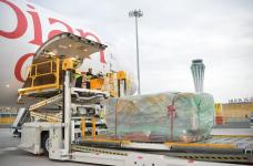 有货出以色列Tlv特拉维夫来询