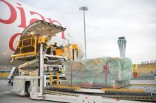 CX欧洲直飞/卡车,收大泡货